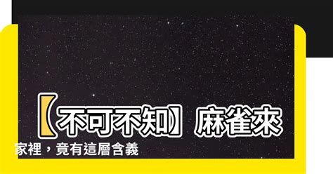 麻雀來家裡|【麻雀來家裡】麻雀突然飛進我家裡，你猜會發生什麼驚奇？